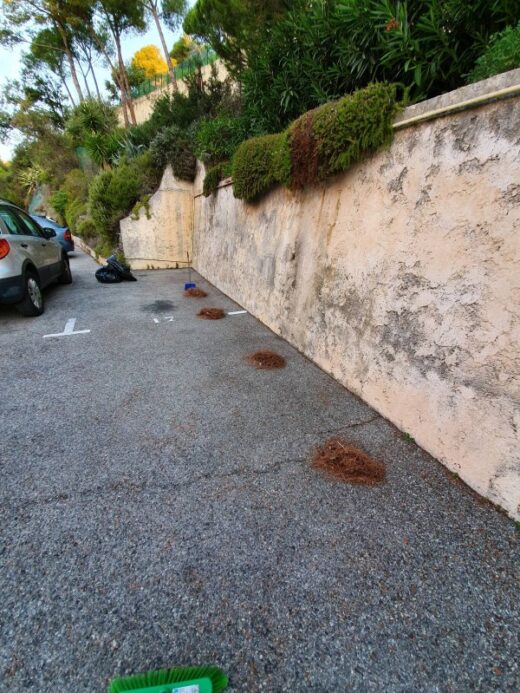 Nettoyage&#x20;d&amp;&#x23;8217&#x3B;un&#x20;parking&#x20;ext&#x00E9;rieur&#x20;sur&#x20;la&#x20;ville&#x20;de&#x20;Cannes